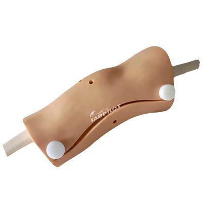 Modello avanzato di artroscopia del ginocchio Formazione abilità infermieristiche cliniche con plastica PVC avanzata