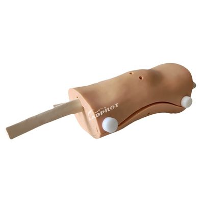 Modello avanzato di artroscopia del ginocchio Formazione abilità infermieristiche cliniche con plastica PVC avanzata
