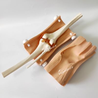 Modello avanzato di artroscopia del ginocchio Formazione abilità infermieristiche cliniche con plastica PVC avanzata