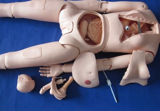 Dimensioni umane Manichino di cura per pazienti Dimostrazione di cura Corpo intero Femminile