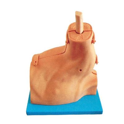 Simulatore di addestramento per l'esame medico per l'artroscopia della spalla