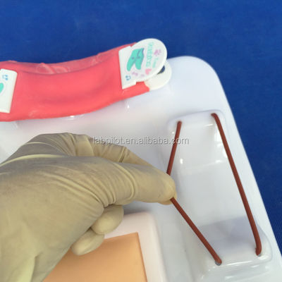 Kit di pratica completo per il taglio e la suturazione per l'addestramento a più abilità chirurgiche