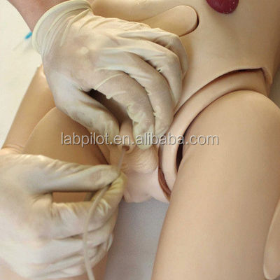 Manichino completo di maternità e pediatria per la formazione ECG avanzata in PVC CPR
