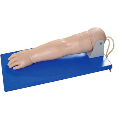 Avanguard Pediatric Venipuncture Arm for Patients Care Demonstration Dimensione della vita umana