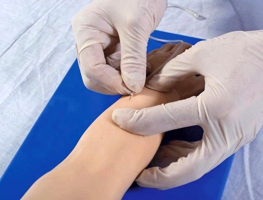Avanguard Pediatric Venipuncture Arm for Patients Care Demonstration Dimensione della vita umana