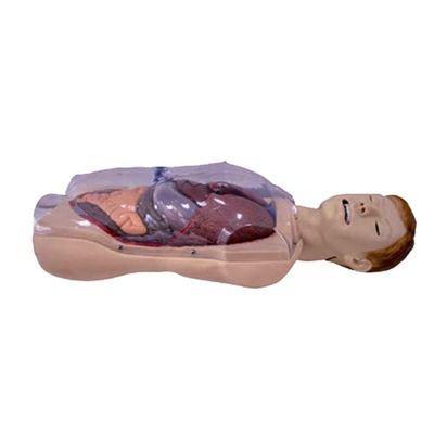 Ospedale Clinica Collegio Infermiera Scuola Vita umana Dimensione Sengstaken-Blakemore NG Tubo Simulatore di formazione infermieristica