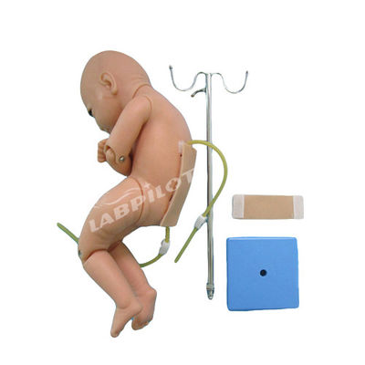 Scienze mediche Puntura lombare infantile Anestesia Simulatore di allenamento manichino