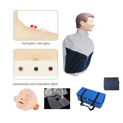 Pratica di rianimazione cardiopulmonare Modello di mezzo corpo fittizio per la formazione ai primi soccorsi