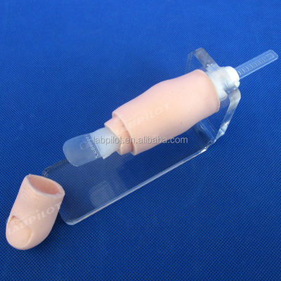 Modello di addestramento all'escissione delle unghie per l'insegnamento delle competenze chirurgiche cliniche in scienze mediche
