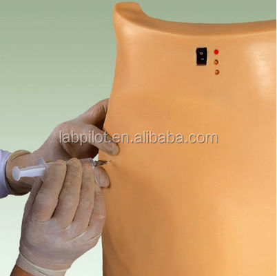Modello di addestramento IM per il simulatore elettronico avanzato di iniezione di glutei in PVC