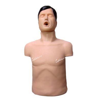 Formazione in Primo Soccorso per l'Obscrizione delle vie aeree in PVC per adulti