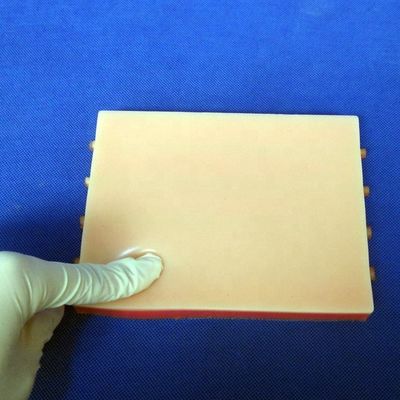 Simulatore di insegnamento medico con modello della pelle vivace