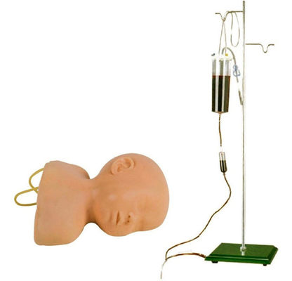 Modello di addestramento per la venezione del cuoio capelluto neonatale Il vantaggio della progettazione della grandezza della vita umana