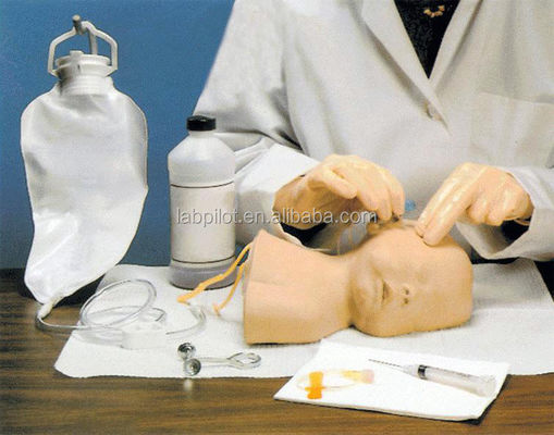 Modello di addestramento per la venezione del cuoio capelluto neonatale Il vantaggio della progettazione della grandezza della vita umana