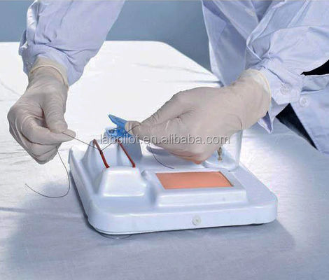 Modello avanzato di formazione sulle competenze chirurgiche multifunzionali in PVC per una formazione completa