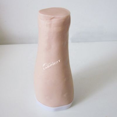 Simulatore di pratica di test cutanei Dimensione della vita umana Iniezione intradermica Modello di allenamento del braccio