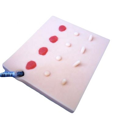 Perfezionare la dimostrazione di cura dei pazienti con manichino e modello di formazione sulle lesioni della pelle