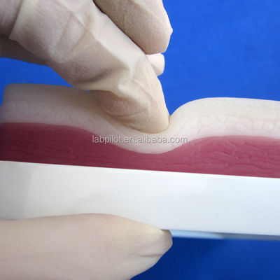 Simulatori per l'insegnamento medico Elastico a 3 strati Pad chirurgico di suturazione per muscoli e pelle