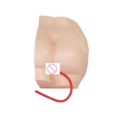Simulatore di insegnamento avanzato di iniezione intramuscolare in PVC per la materia di scienze mediche