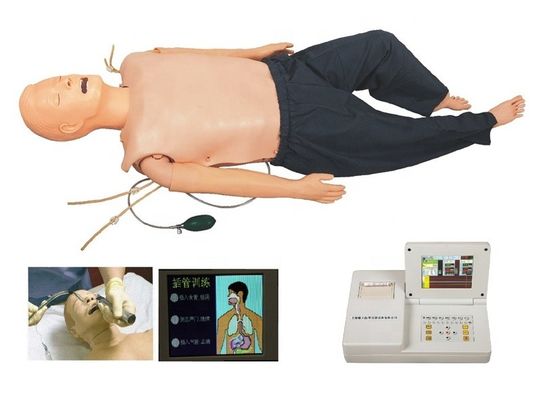 Manichino in PVC per la formazione medica nelle categorie ACLS e IV Modello di intubazione