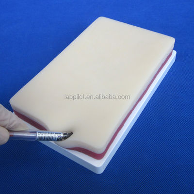 Manichino della vita umana Dimensione 3 strati Pad di pratica di sutura per la pelle grasso e muscoli Modello di allenamento