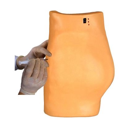 Modello medico per l'addestramento alla punzione Dimostrazione Iniezione muscolare elettronica Insegnamento