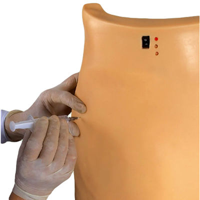 Modello medico per l'addestramento alla punzione Dimostrazione Iniezione muscolare elettronica Insegnamento