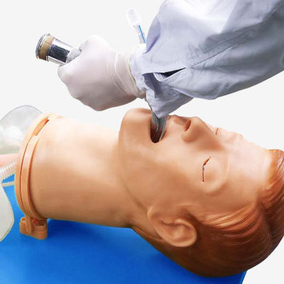 Testa di intubazione di anatomia vivida per modello elettronico multifunzionale di gestione delle vie aeree