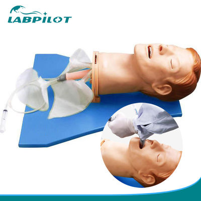 Testa di intubazione di anatomia vivida per modello elettronico multifunzionale di gestione delle vie aeree
