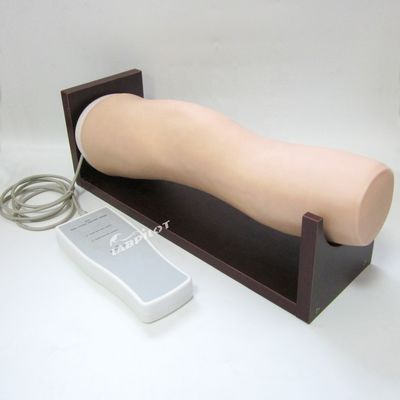 Modello di addestramento per l'iniezione intraarticolare dell'articolazione del ginocchio per le competenze infermieristiche cliniche