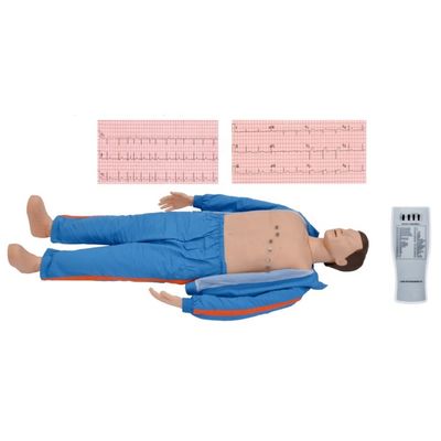 Modello di formazione ECG avanzato per adulti per professionisti medici