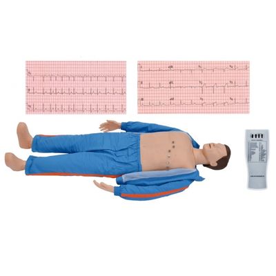 Modello di formazione ECG avanzato per adulti per professionisti medici