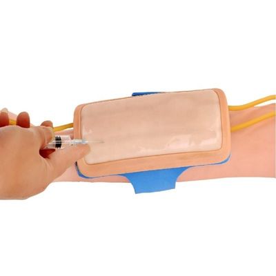Pad di addestramento avanzato per l'infezione venetica dell'avambraccio in PVC IV Pad di iniezione per scienze mediche