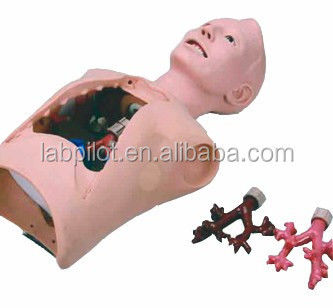 Formazione per la cura dei pazienti Broncoscopia medica e simulatore di intubazione con allarmi
