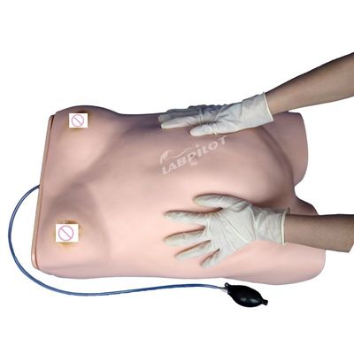 Manichino di maternità e infermieristica avanzato in PVC essenziale per l'addestramento alla palpazione della maternità