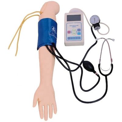 Misurazione della pressione arteriosa allenamento braccio modello categorie manichino didattico
