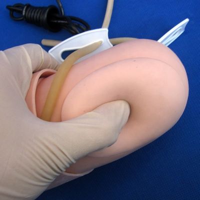 Misurazione della pressione arteriosa allenamento braccio modello categorie manichino didattico