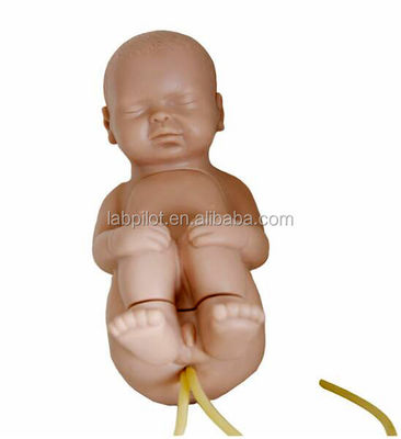 Manichino di dimensioni umane per l' allenamento pediatrico di puntura vertebrale spinale