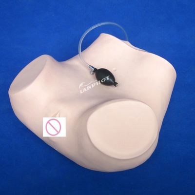 Esame ginecologico di palpazione PVC Manikin di formazione con funzione contraccettiva