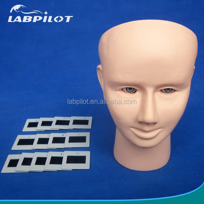 Modello di insegnamento di ispezione oculistica PVC per l'esame fundoscopico di dimensioni della vita umana