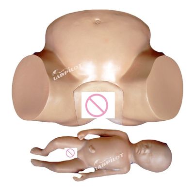 Simulatore di parto ad estrazione a vuoto per la formazione di ostetrici