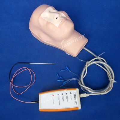 Cauterizzazione dell'emostasi nasale e addestramento a confezionamento manichino per funzione modello medico