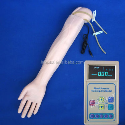 Modello avanzato di simulazione del braccio di allenamento alla pressione sanguigna per la pratica infermieristica clinica