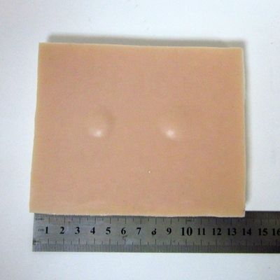 Kit di formazione clinica professionale per la scienza medica