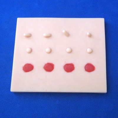 Kit di formazione clinica professionale per la scienza medica