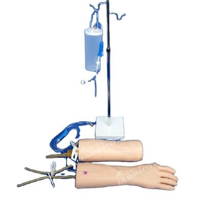Modello di addestramento per infusione IV pelle morbida mano e gomito braccio di addestramento per trasfusione endovenosa