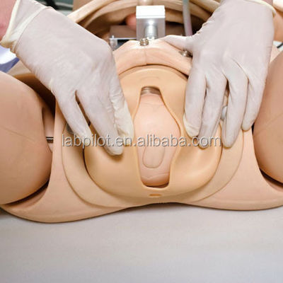 Sistema avanzato di formazione sulle competenze di ostetricia in PVC per cure di emergenza e infermieristica durante il parto