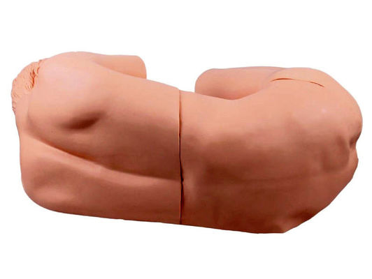 Manichino di cura per adulti vivido Modello innovativo per la formazione clinica sulla puntura lombare