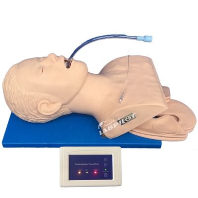 Imparare le competenze di emergenza Articolo Simulatore di formazione all' intubazione con monitor elettronico