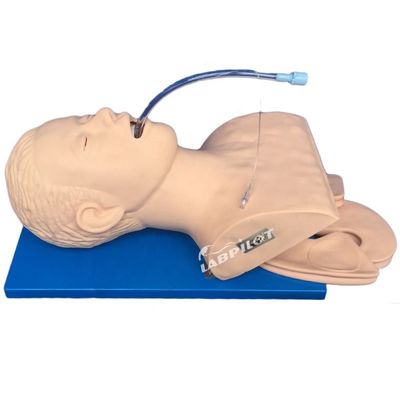 Imparare le competenze di emergenza Articolo Simulatore di formazione all' intubazione con monitor elettronico